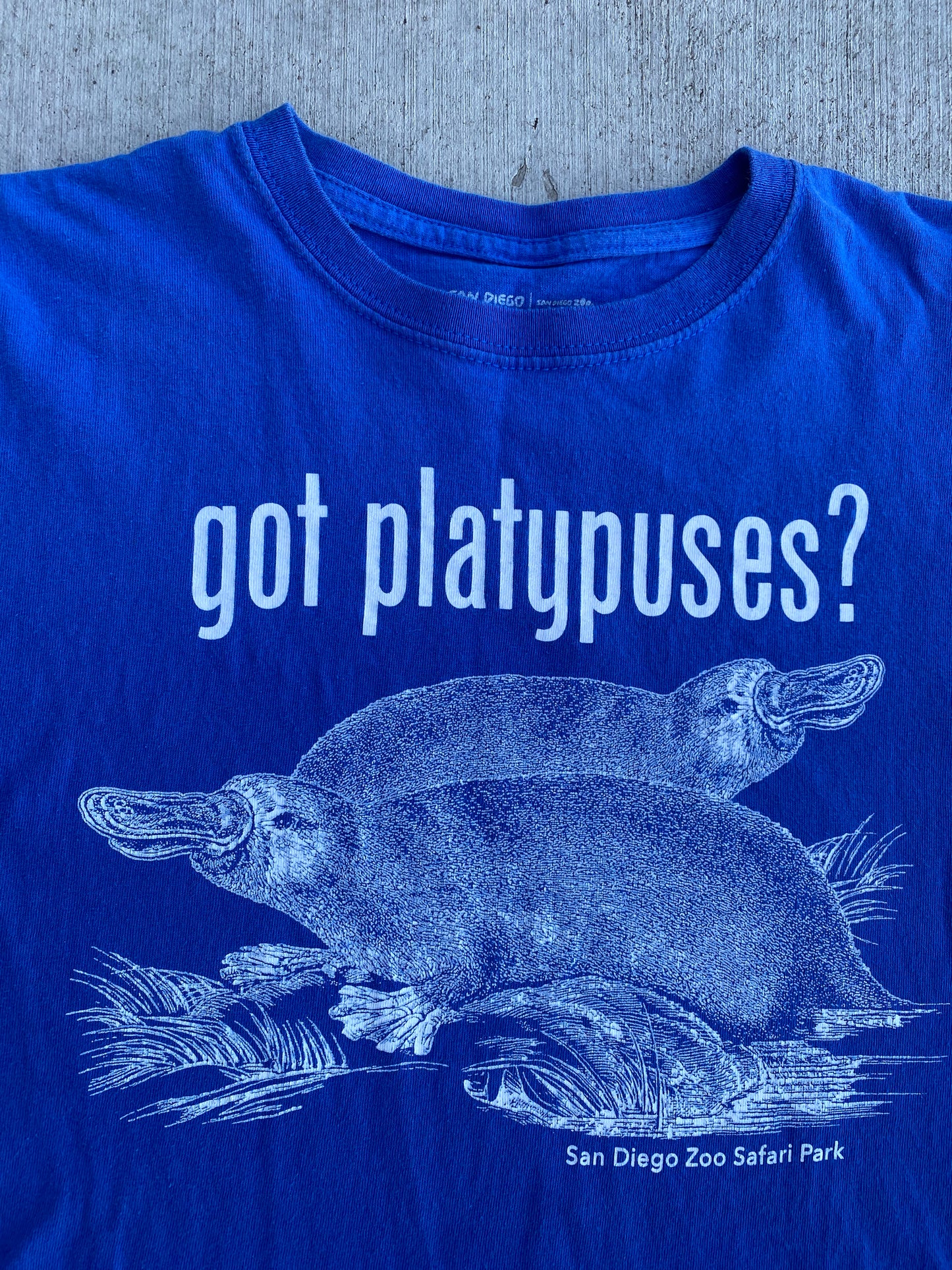 Got Platypuses?
