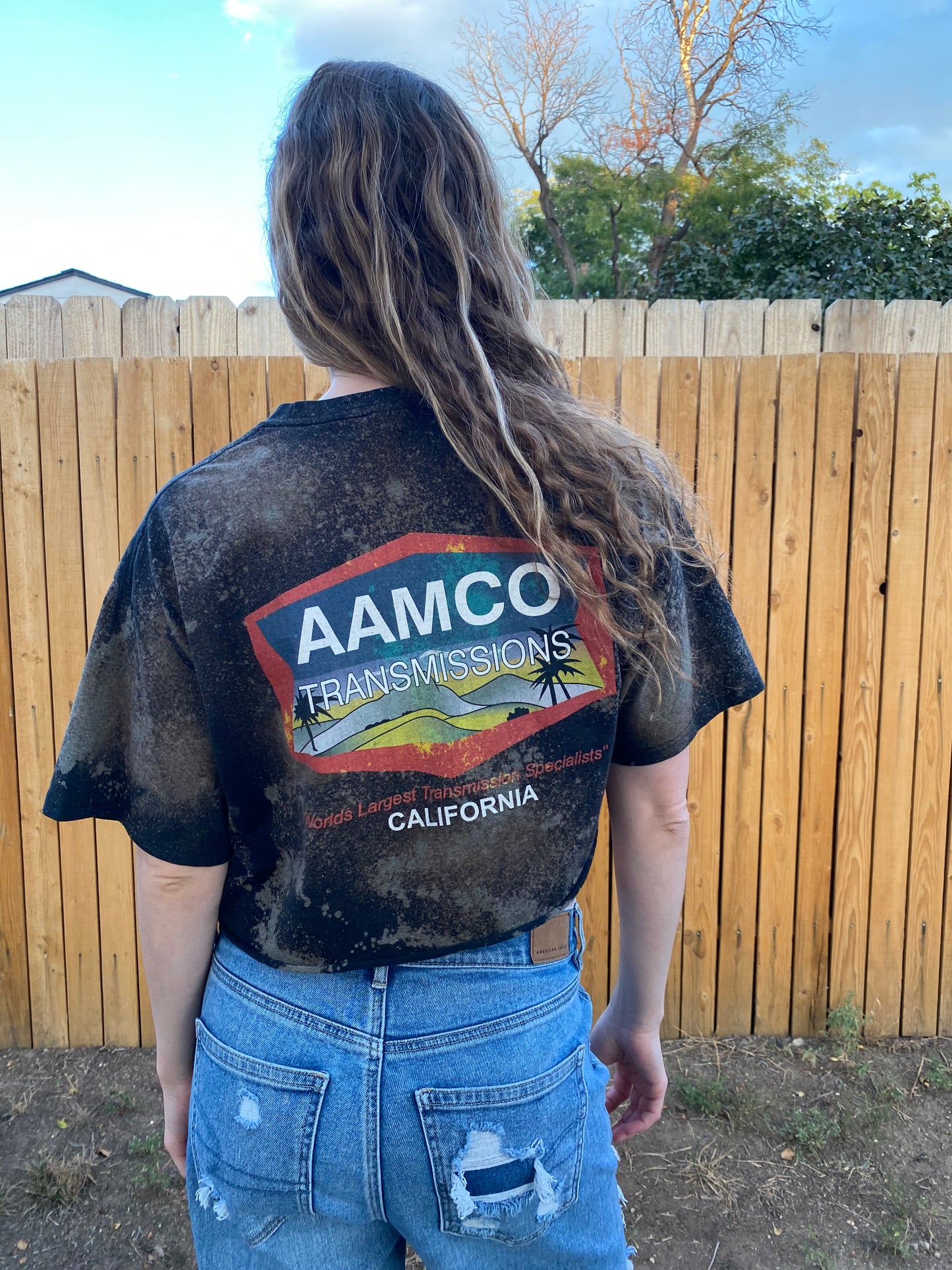 AAMCO Acid Wash