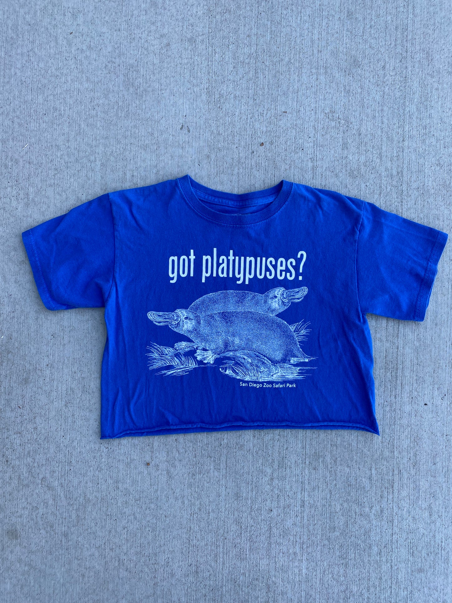 Got Platypuses?