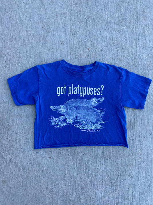 Got Platypuses?