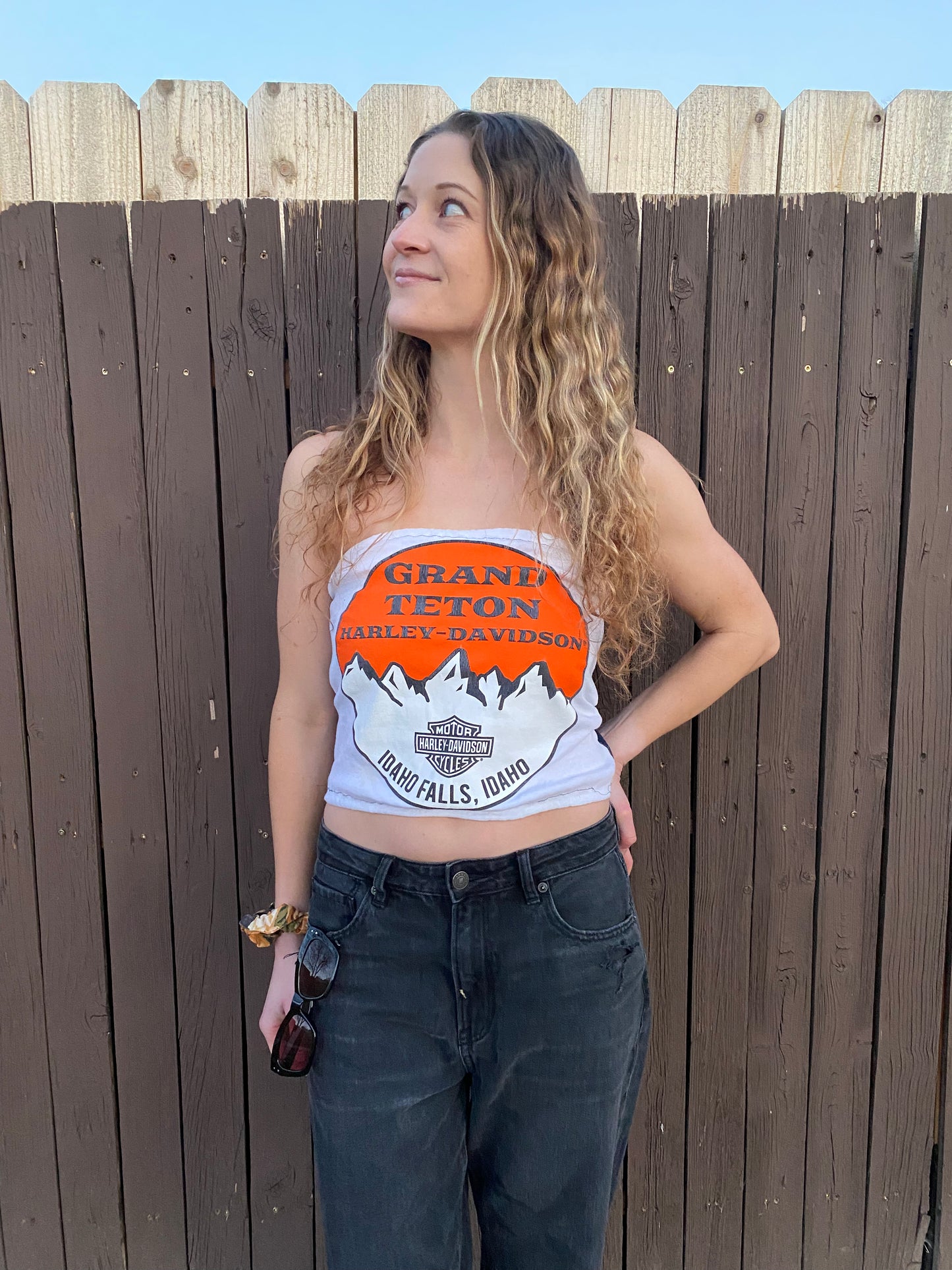 Grand Teton Tube Top